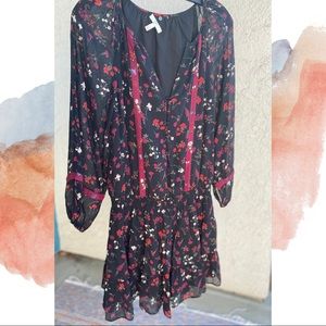 Silk Joie Dress